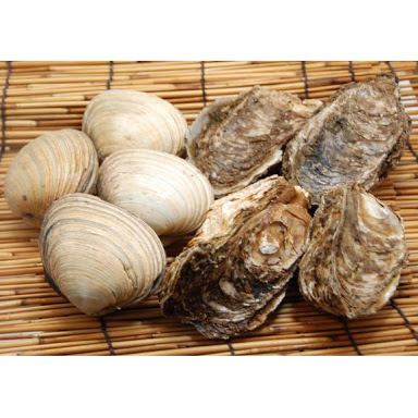 [Additional menu for individual items] Oysters (1) / Large clams (1) / White clams (3)