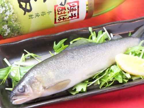 Ayu from Kashima fish farm