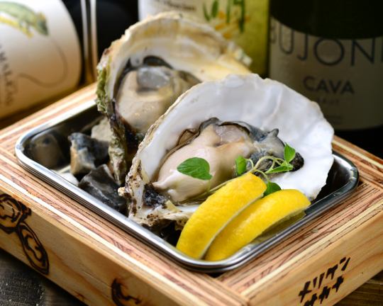 We deliver fresh raw oysters all year round! A limited number of one-coin raw oysters are available every day!