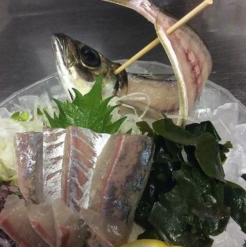 horse mackerel