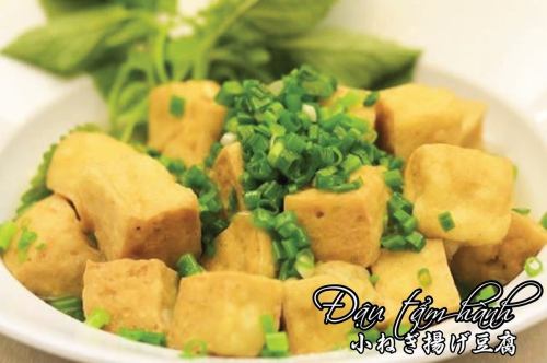 A plate of deep-fried tofu with small green onions
