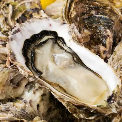 肥美的天然岩牡蛎