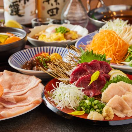 【九州馬甲門套餐】3小時馬肉生魚片拼盤和黑豬肉涮鍋，9道菜無限暢飲5,000日元