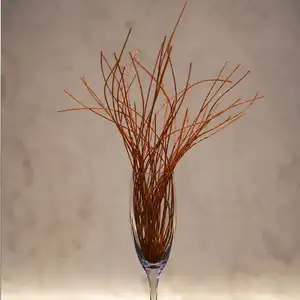 パリパリパスタ