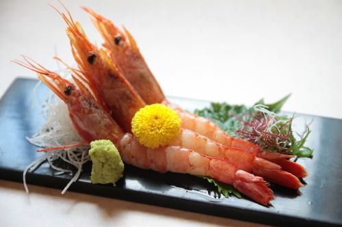 Red shrimp sashimi