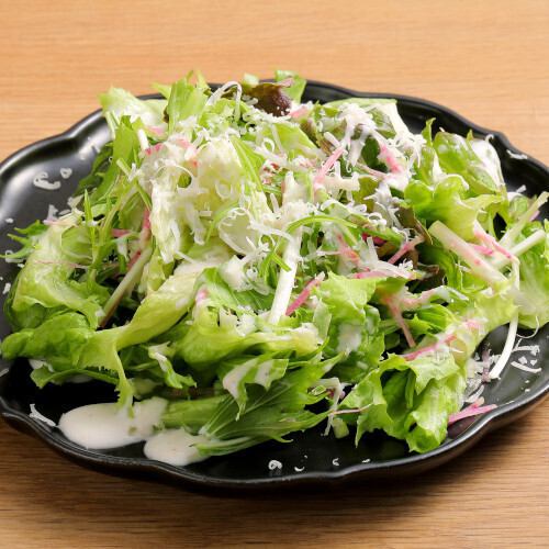 パルミジャーノレッジャーノシーザーサラダ