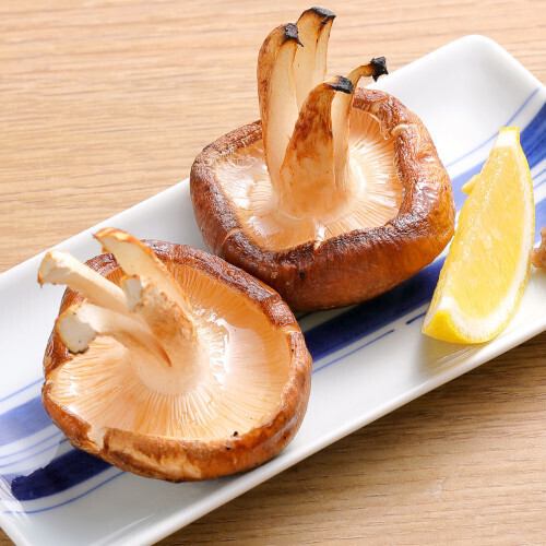 宮城七ツ森しいたけ炙り焼き