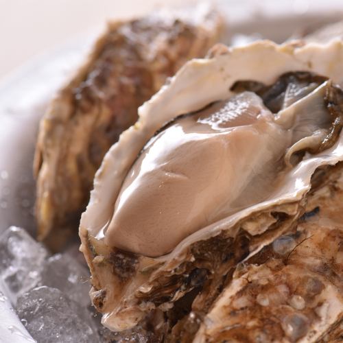 自慢の牡蠣食べ比べ