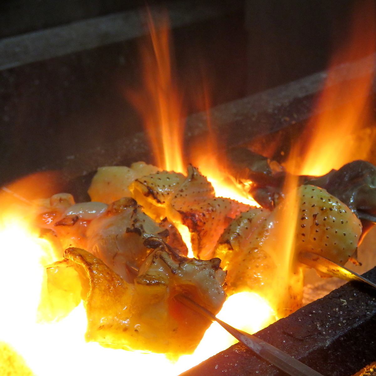 完全個室!炭火で焼き上げる薩摩地鶏の焼き鳥が絶品♪