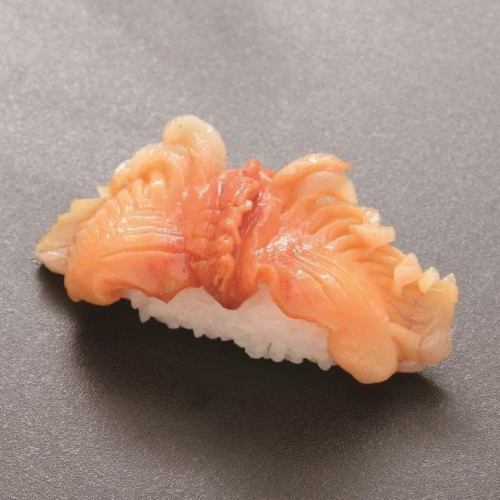 赤貝