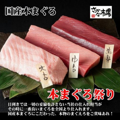 【本まぐろ祭り】とろけるような食感と濃厚な味わい