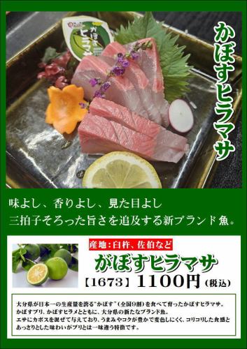 大分県新ブランド魚『かぼすヒラマサ』味・香り・見た目の三拍子そろった旨さを追求するブランド魚