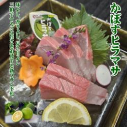 かぼすヒラマサ