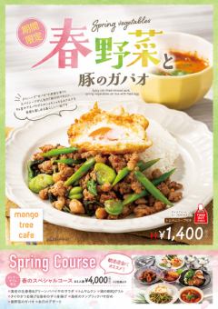 봄 야채와 돼지 가파오 톰 야무 수프 포함