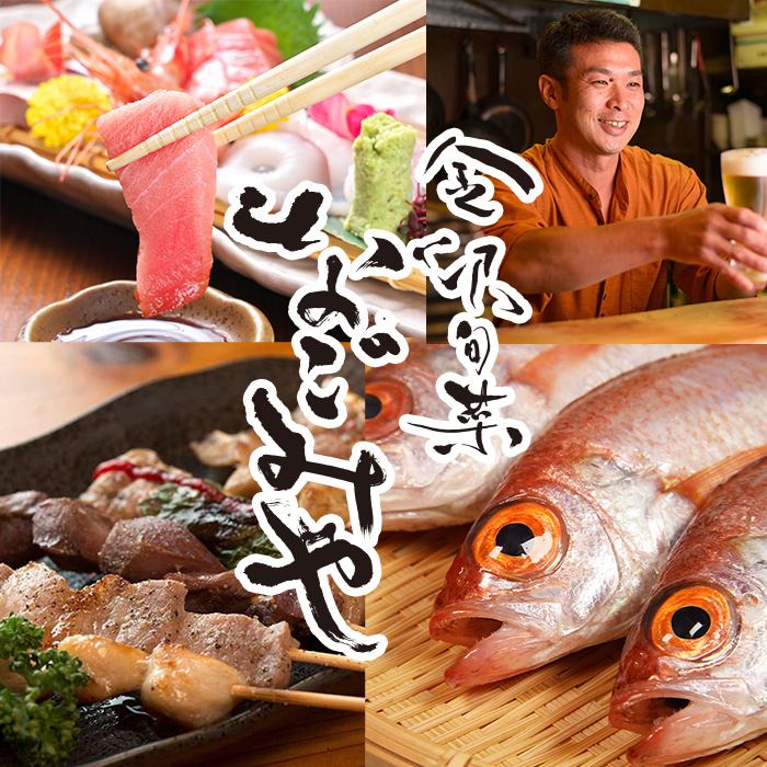 A hidden gem in Kanazawa that specializes in seafood from the Hokuriku region and traditional local vegetables [Nagomiya] also offers plenty of private rooms!