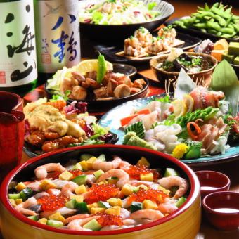 【当日お任せコース】2H飲み放付き日替わり鮮魚のちらし寿司など全7品 5000円→3980円