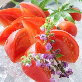 [Himeji brand tomato] Yaochan's chilled tomato