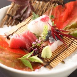 Sashimi | Today's Sashimi