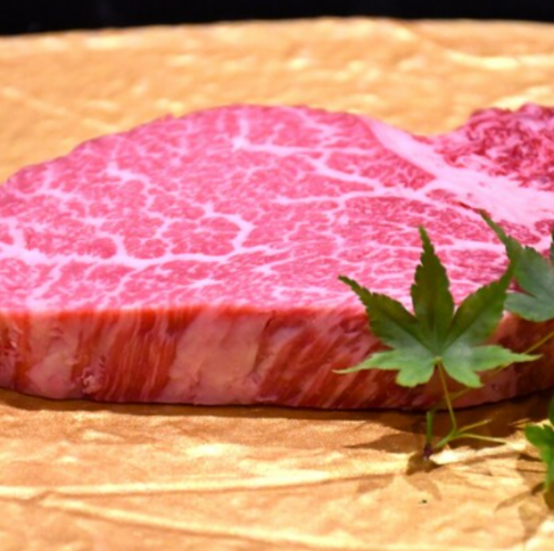 ［極］ シャトーブリアン