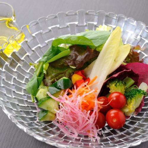Salad with plenty of vegetables