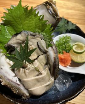 隠岐の岩牡蠣