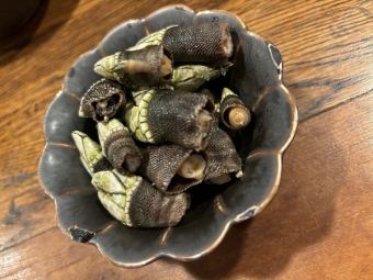 カメノテ　塩茹で