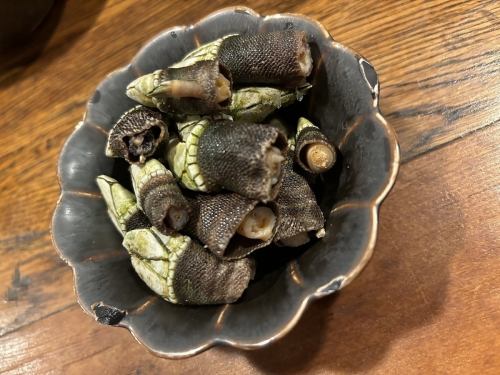 カメノテ　塩茹で