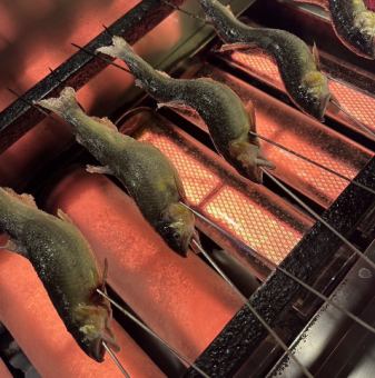 子持ち鮎　塩焼き