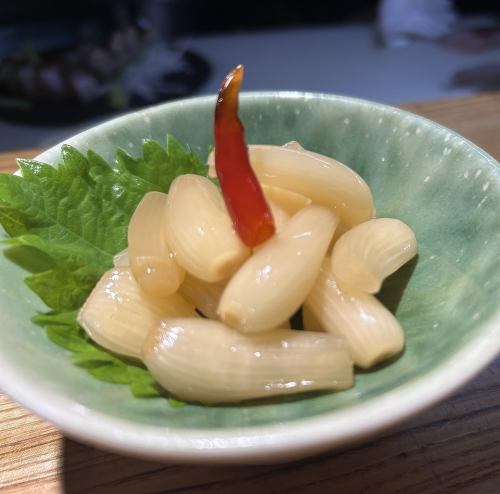 鳥取　砂丘らっきょう
