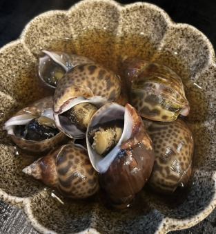 バイ貝　含め煮