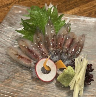 新物! 生蛍烏賊 お造り