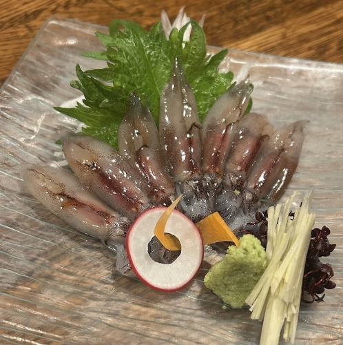 新物! 生蛍烏賊 お造り