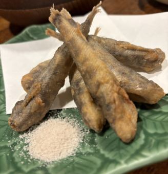 メヒカリ　磯辺揚げ