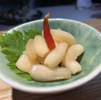 鳥取沙丘蔥