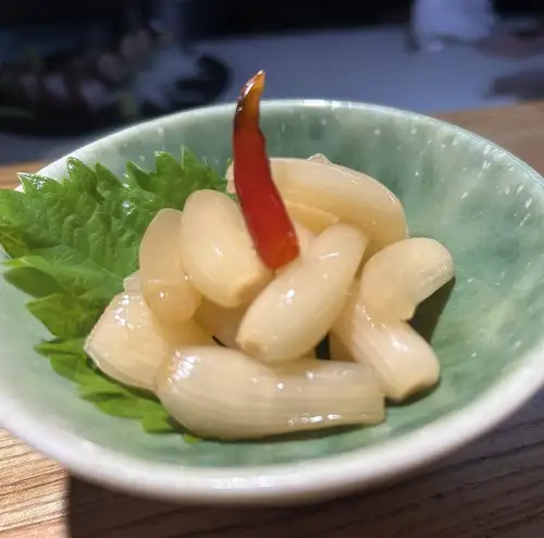 鳥取沙丘蔥