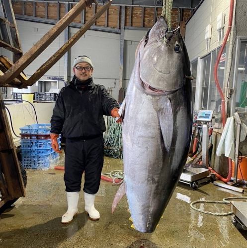 大間のマグロ直送★