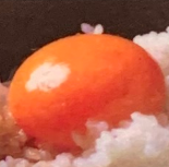 内脏火锅/涮锅 附加菜单 鸡蛋