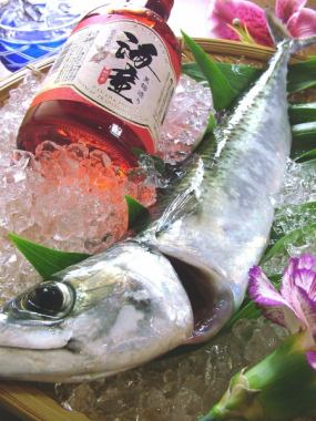 鍋なし。料理9品。2.5h飲放付。首折れサバ、かんぱち、黒毛和牛、黒豚、地鶏刺し、8000→6500円f