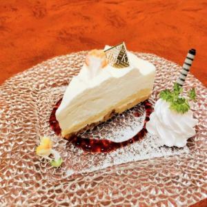 稀有芝士蛋糕〜碎屑风格〜