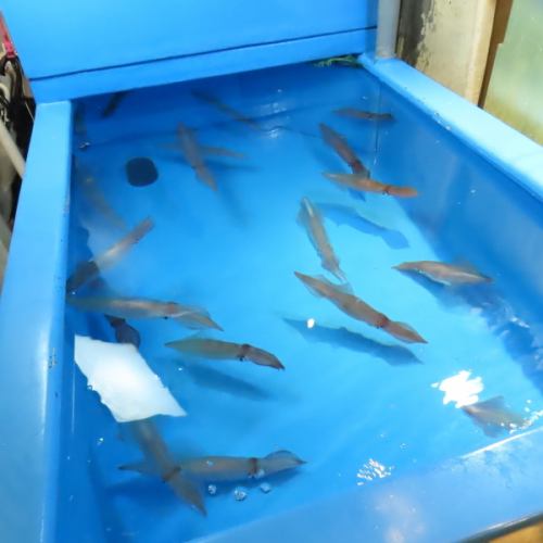 鮮魚をその場で調理！