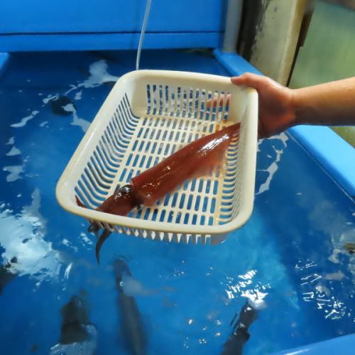 鮮魚をその場で調理！
