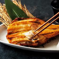 特大縞ほっけ(一尾)