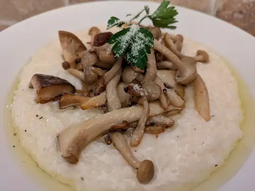 蘑菇奶酪烩饭