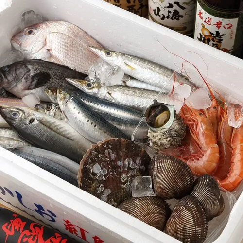 産地直送にこだわる鮮魚◎