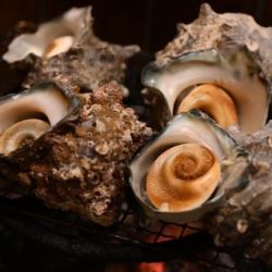 季節の食材を贅沢に