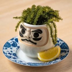 ケンケン海ぶどう