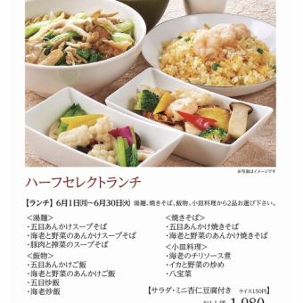 ハーフセレクトランチ＊6月1日(月)~6月30日(火)