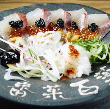 Sakayakuza 的新特色：华丽的琥珀鱼