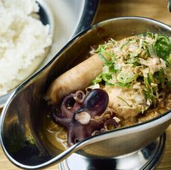 Special oden broth curry
