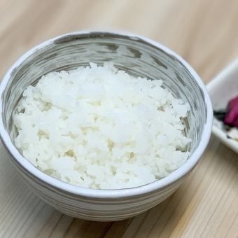 白飯